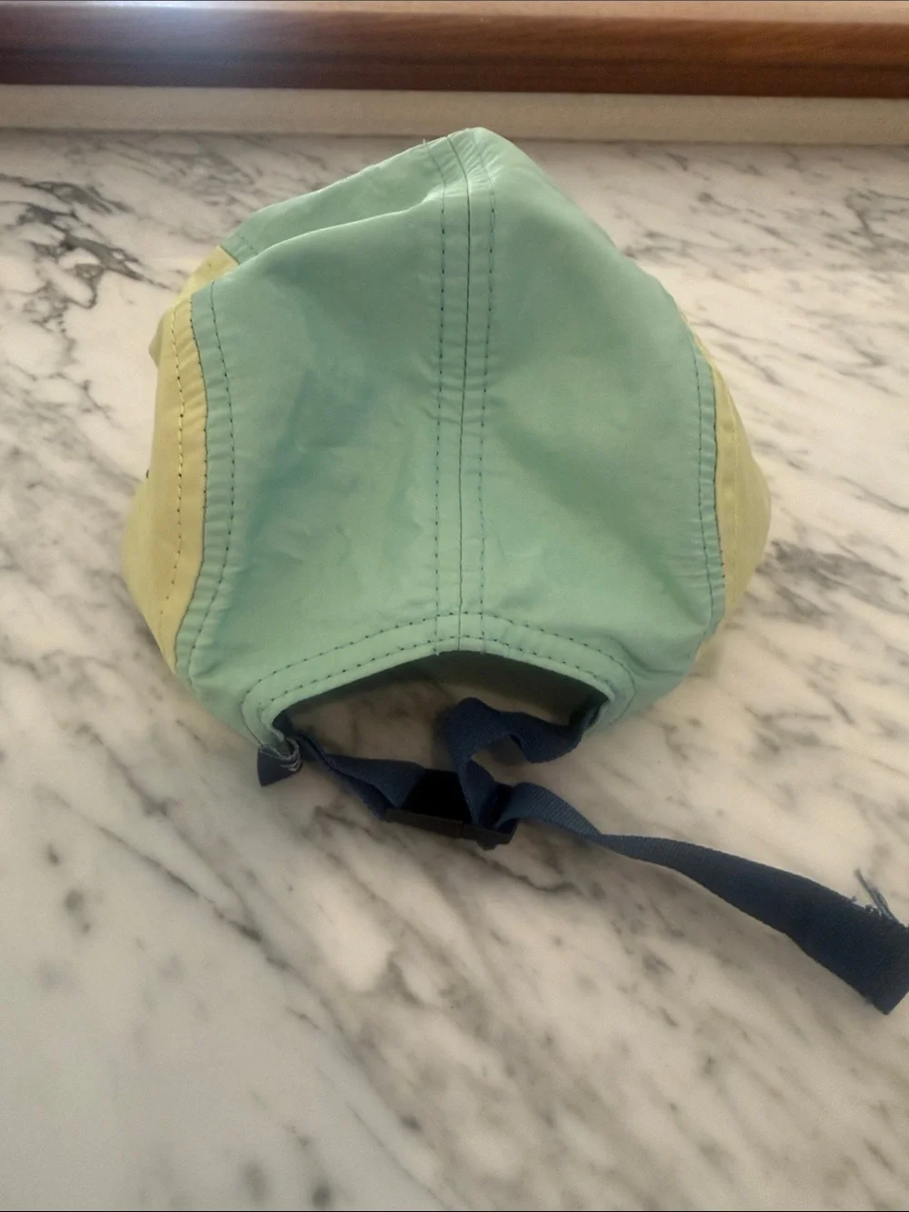 Tiny Whales Colorblock Hat